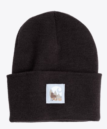 Carhartt Watch Cap Graphic Beanie