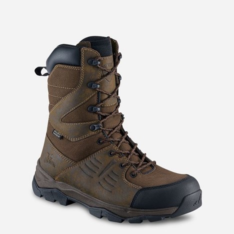 Irish Setter TERRAIN 10