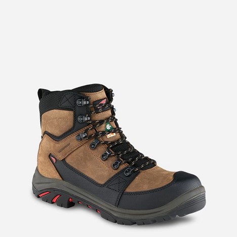 Red Wing Tradesman 6