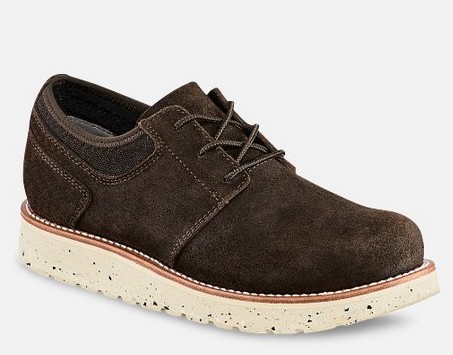 Irish Setter SETTER FIFTY Oxford - Brown