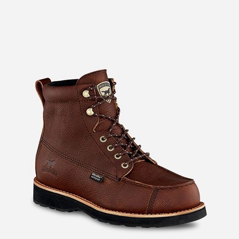 Irish Setter WINGSHOOTER 7