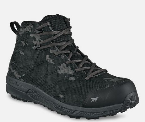 Irish Setter Nisswa 5