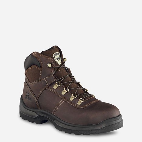 *SALE* LIMITED SIZES AND AVAILABILITY LEFT!! Irish Setter ELY 6