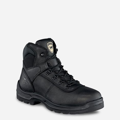 *SALE* LIMITED SIZES AND AVAILABILITY LEFT!! Irish Setter ELY 6