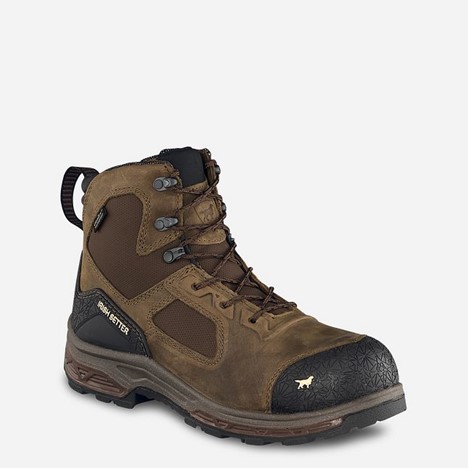 Irish Setter KASOTA  6