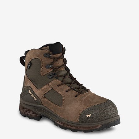 Irish Setter KASOTA Metguard 6