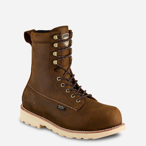 Irish Setter WINGSHOOTER 8