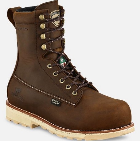 Irish Setter WINGSHOOTER 8