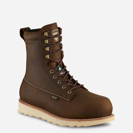 Irish Setter WINGSHOOTER 8