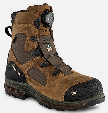 Irish Setter KASOTA 8