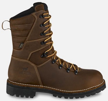 Irish Setter SHOREWOOD 9