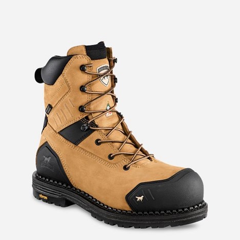 Irish Setter EDGERTON XD 8