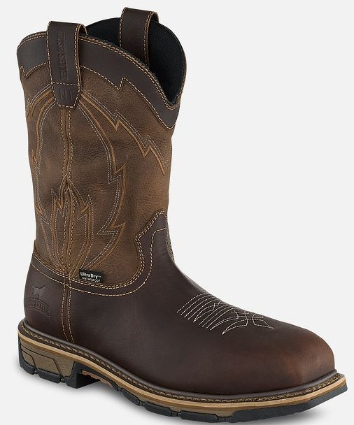 Irish Setter MARSHALL 11