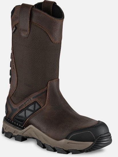 Irish Setter Crosby 11