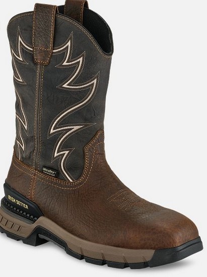 Irish Setter TWO HARBORS 11