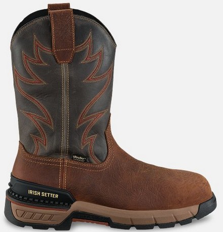 Irish Setter TWO HARBORS 11