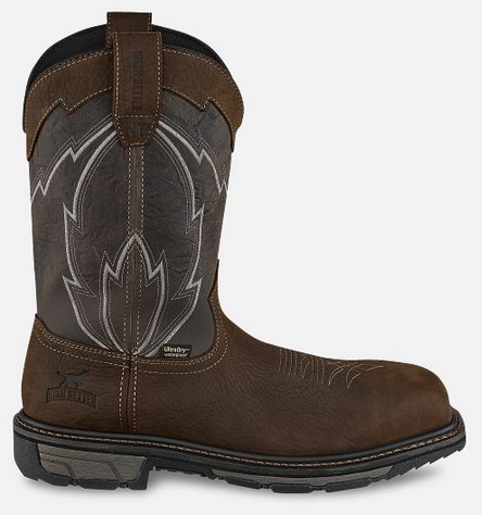 Irish Setter MARSHALL 11
