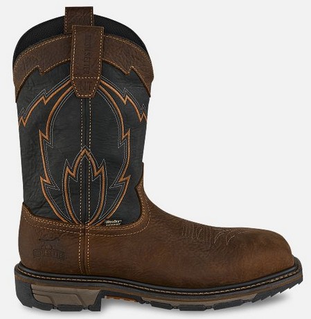 Irish Setter Marshall 11