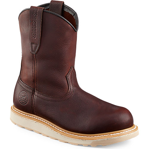Irish Setter ASHBY 9